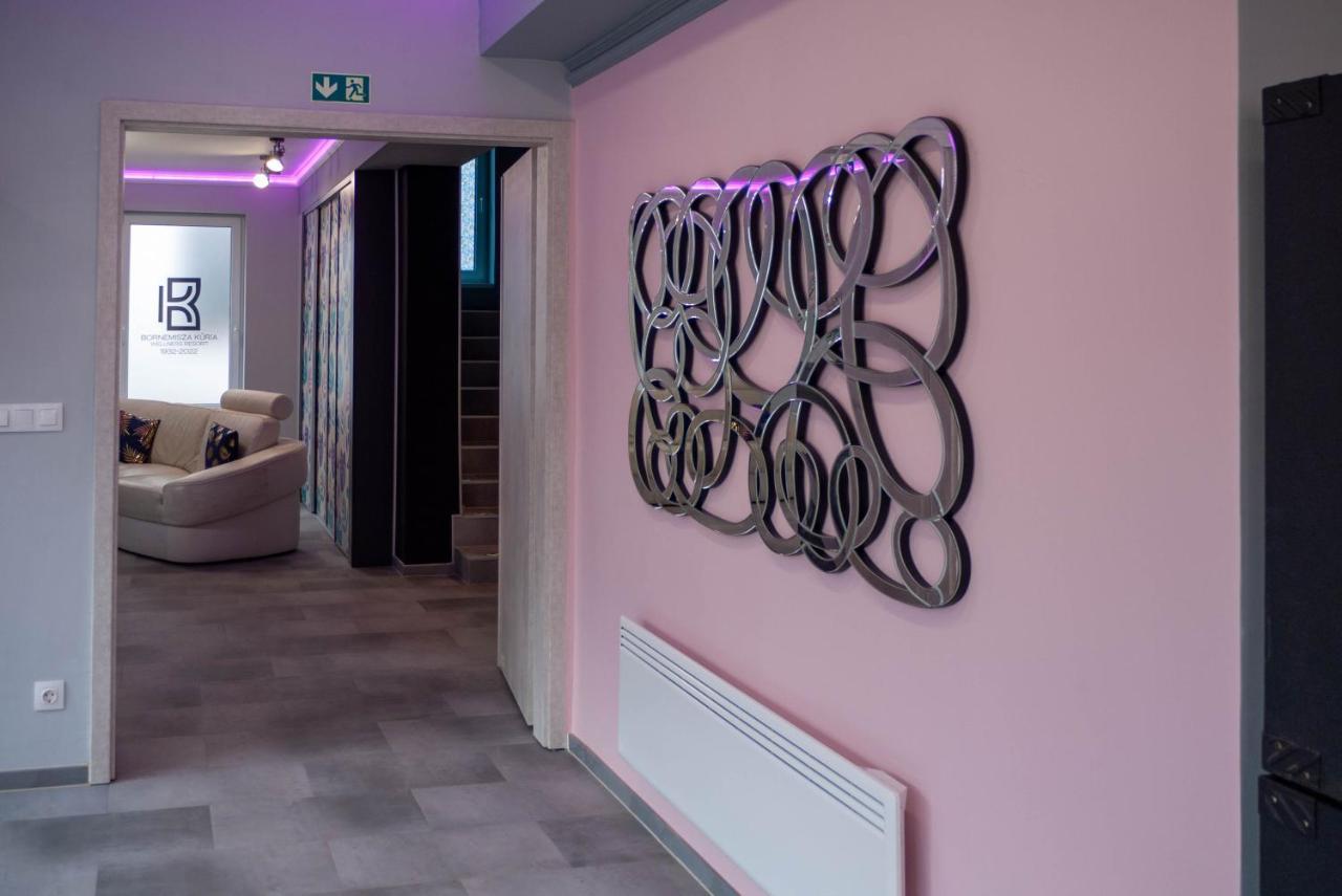 Bornemisza Kuria Wellness Resort Tiszabecs エクステリア 写真